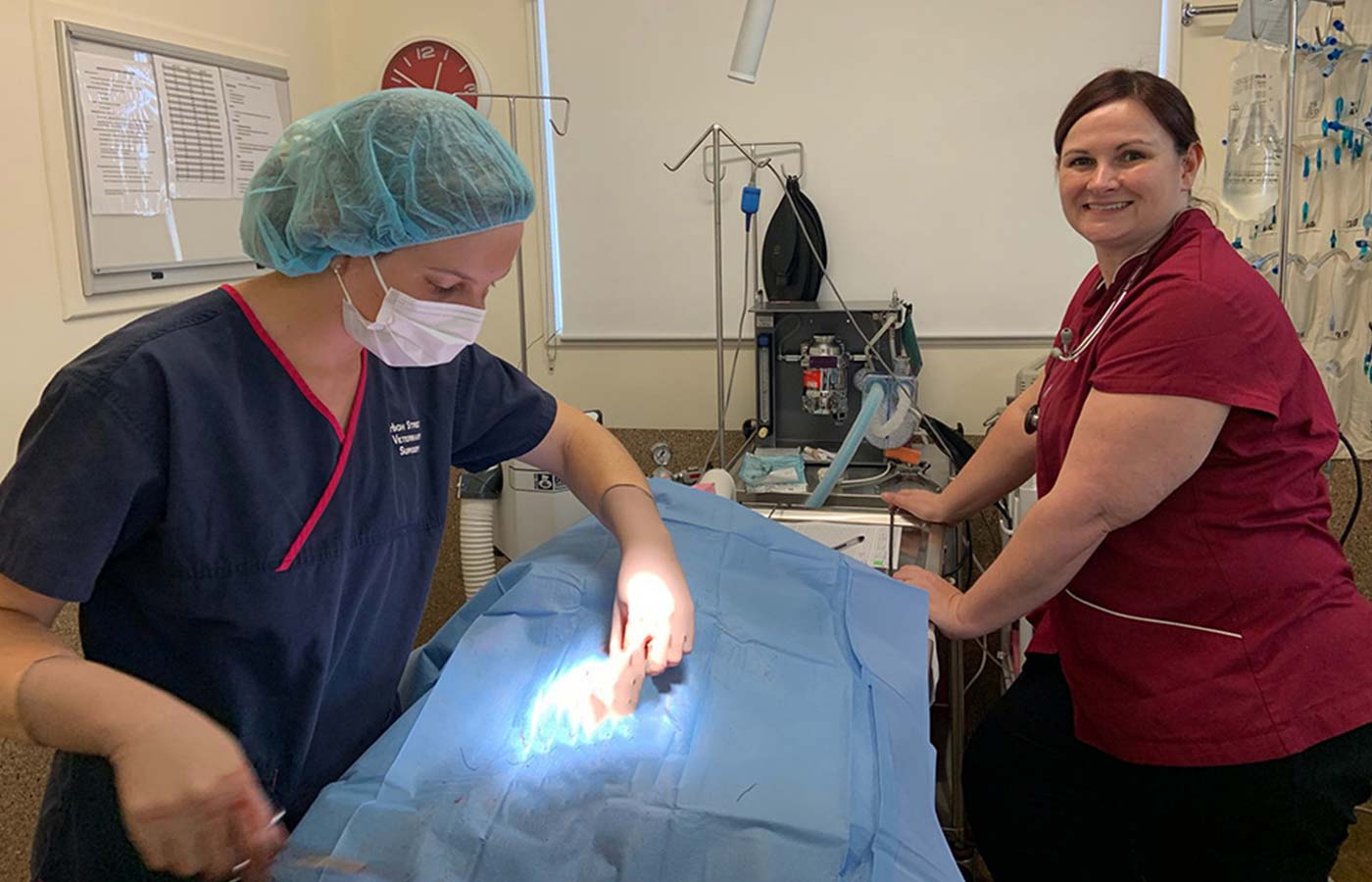 Two veterinary team members in a surgery room, one working under a blue drape, one beside monitoring equipment