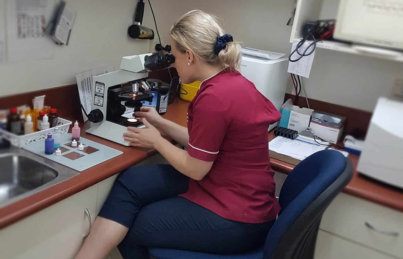 Veterinary team member seated at a microscope at a lab bench beside a tray of small bottles